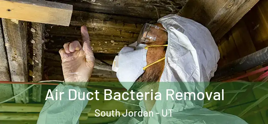  Air Duct Bacteria Removal South Jordan - UT