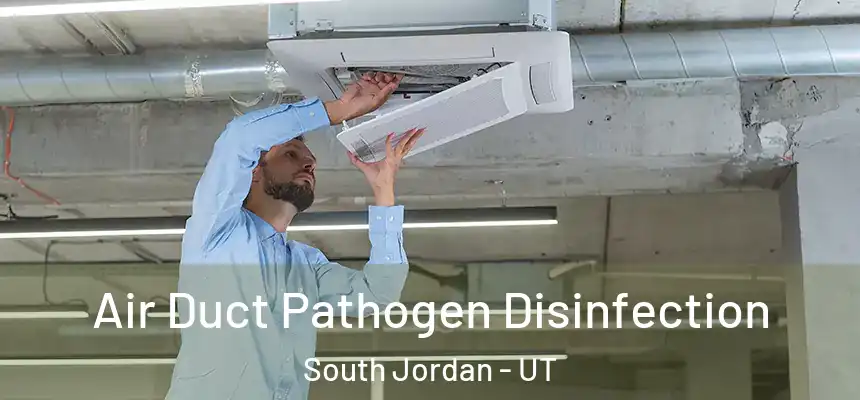 Air Duct Pathogen Disinfection South Jordan - UT