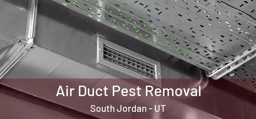Air Duct Pest Removal South Jordan - UT