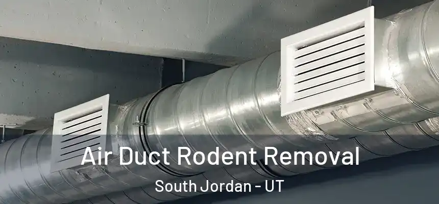 Air Duct Rodent Removal South Jordan - UT