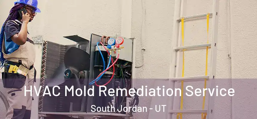  HVAC Mold Remediation Service South Jordan - UT