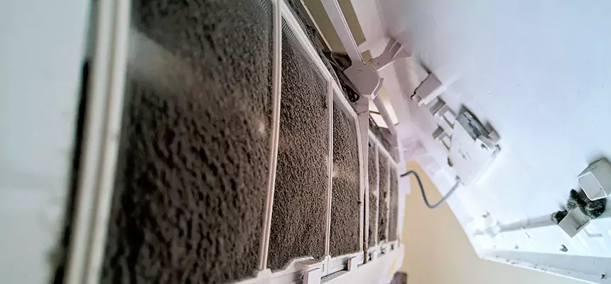 Preventive Air Duct Bacteria Removal in South Jordan