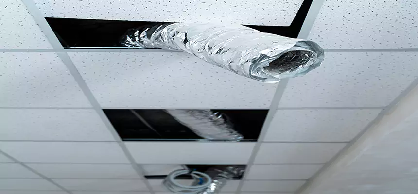 Affordable HVAC Sanitizing After Pest Removal in South Jordan