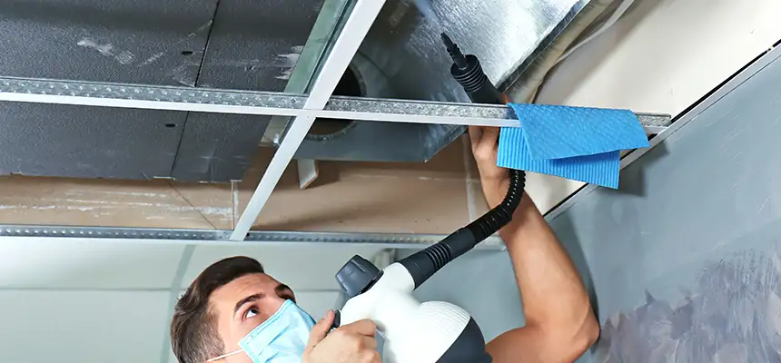 Our Air Duct Rodent Removal Services in South Jordan, UT