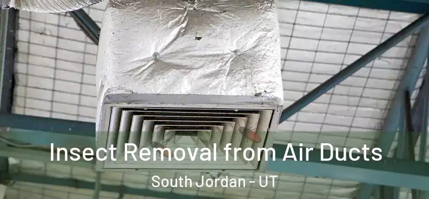 Insect Removal from Air Ducts South Jordan - UT