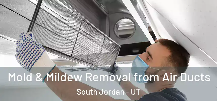 Mold & Mildew Removal from Air Ducts South Jordan - UT
