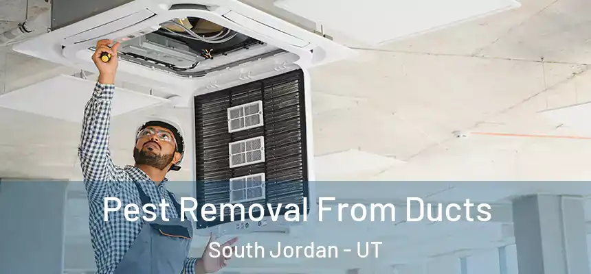 Pest Removal From Ducts South Jordan - UT