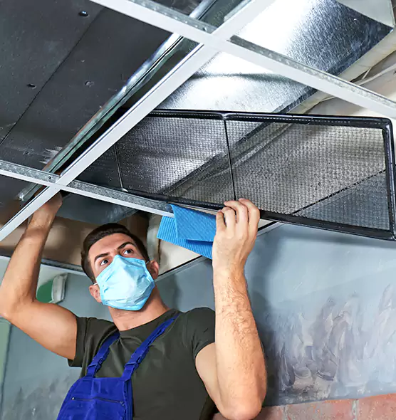 Professional Air Duct Pollen Cleaning in South Jordan, UT
