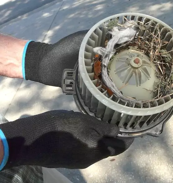 About Air Duct Rat Removal in South Jordan, UT