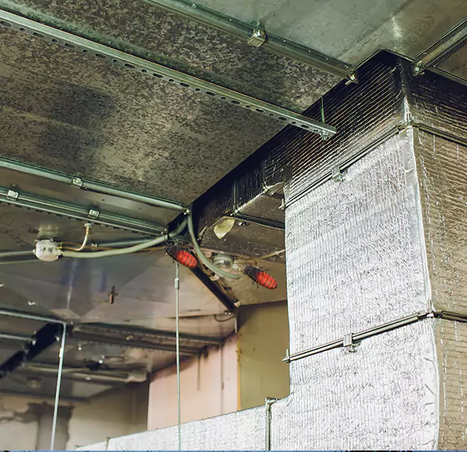 Why Homeowners & Businesses Trust Us in South Jordan, UT?