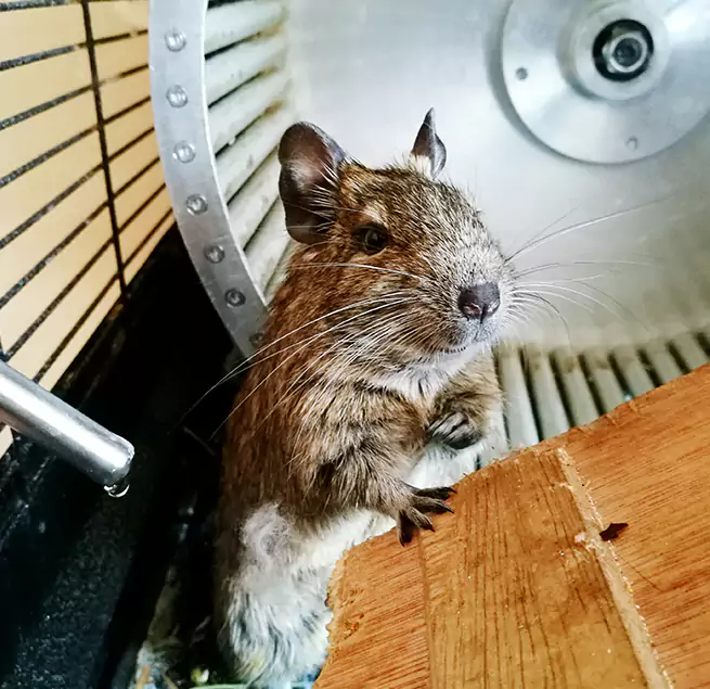 Why Homeowners & Businesses Trust Us South Jordan, UT