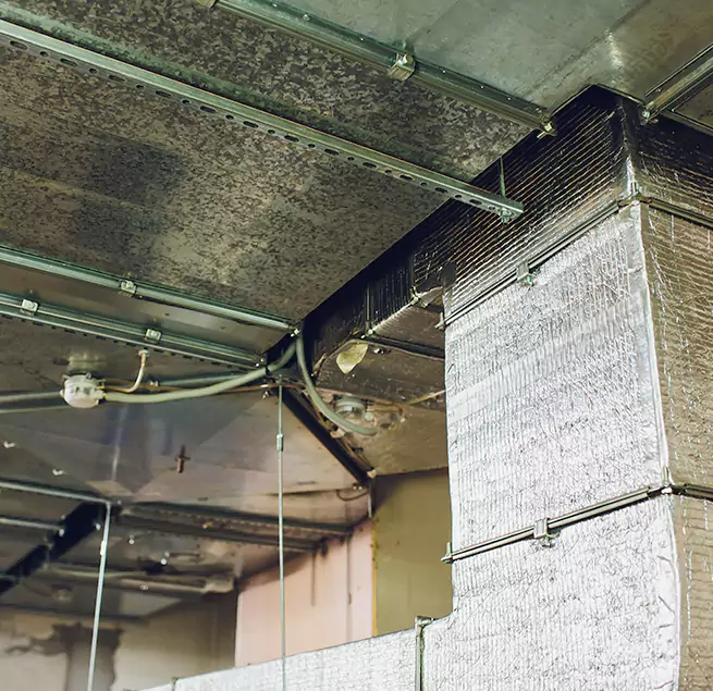 Why Homeowners & Businesses Trust Us in South Jordan, UT?